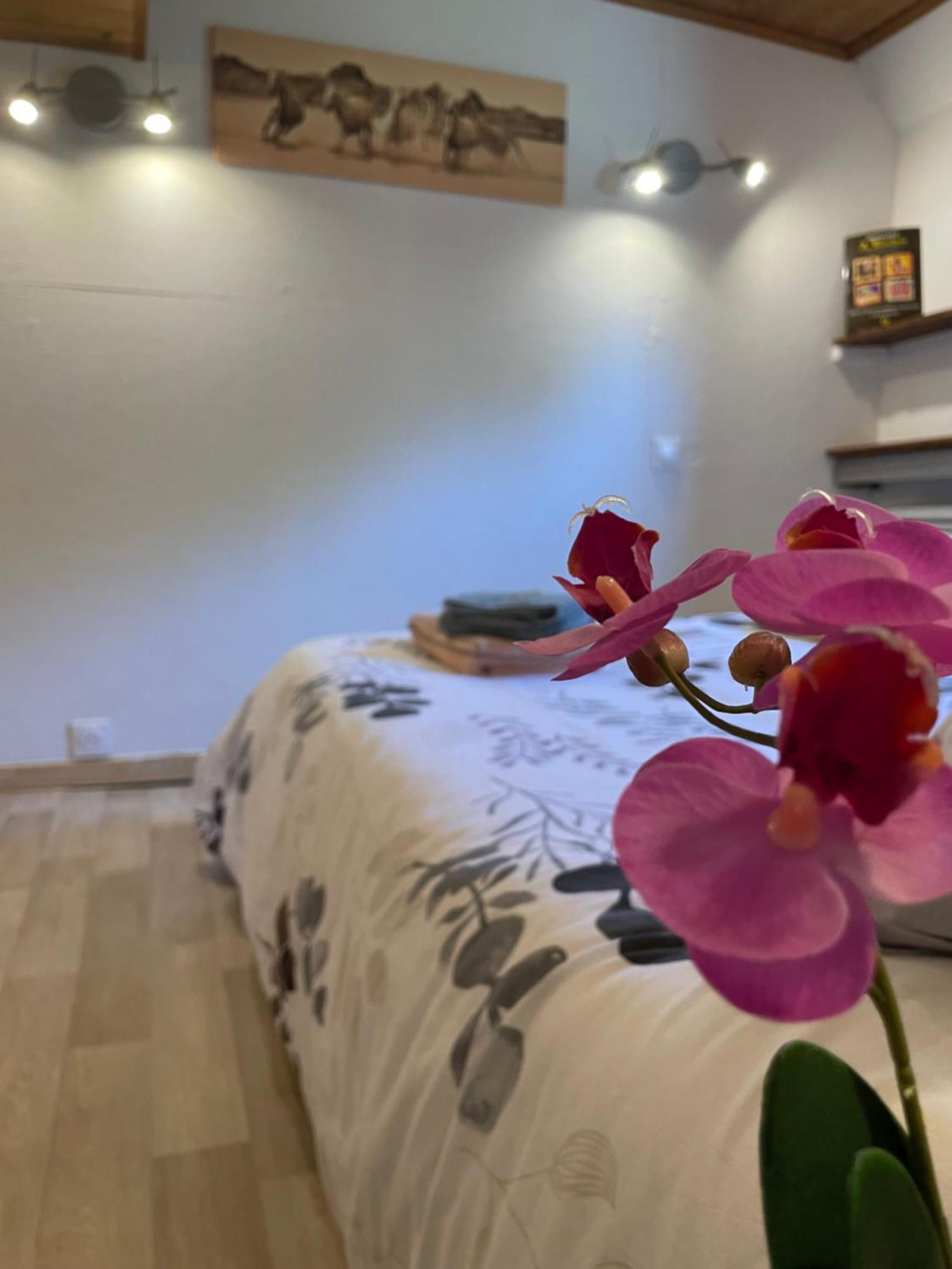 Peniche Le Pescalune - Chambre D'Hotes Арл Екстериор снимка